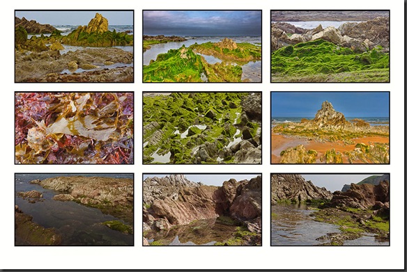 Lightroom Entwicklungseinstellungen Auf Mehrere Bilder Anwenden